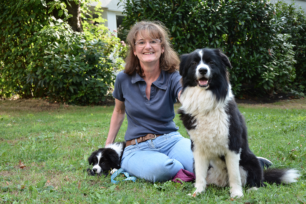 Border Collie "Strolch" ist regelmäßig in Grundschulen für „Theaterprojekte mit Hund“ oder in Kindergärten zu Besuch. Zur Einschulungsfeier stand er dieses Jahr mit einer Grundschulklasse auf der Bühne.